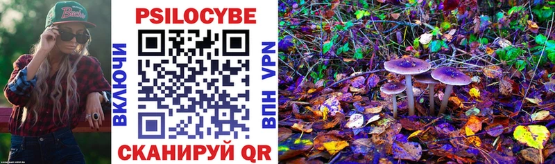 что такое   Курчатов  Псилоцибиновые грибы мицелий 