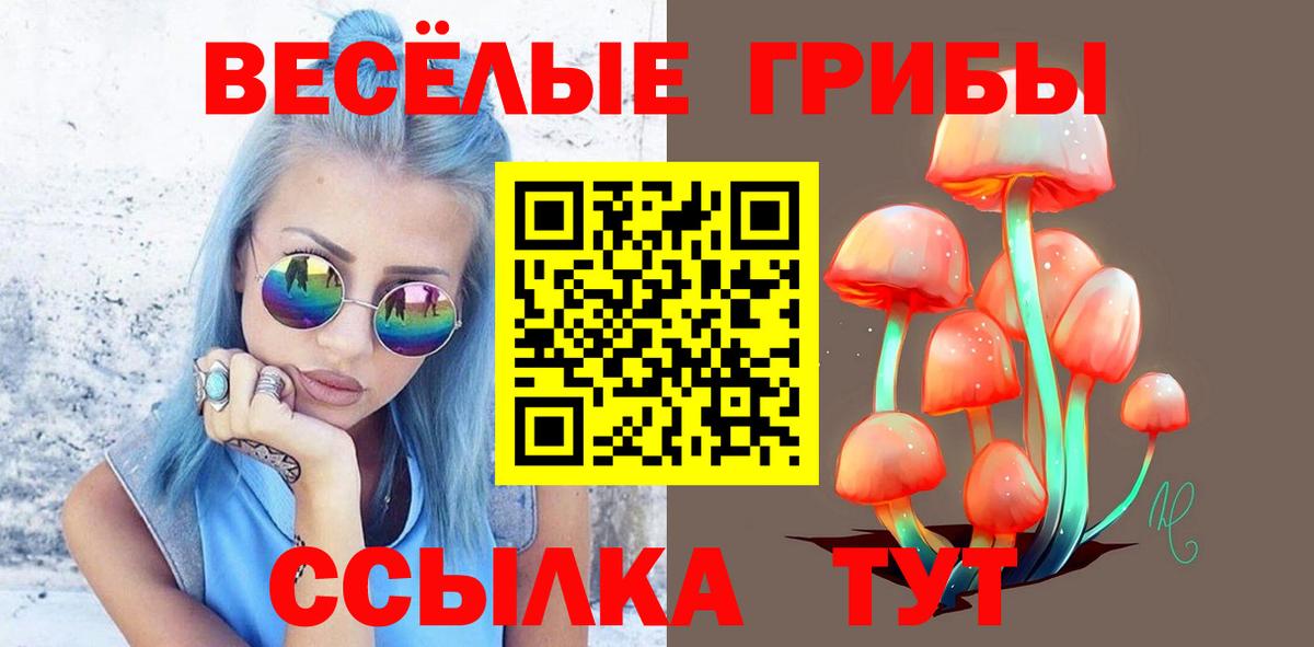 цена   Псилоцибиновые грибы Cubensis  Вход с VPN  Курчатов 