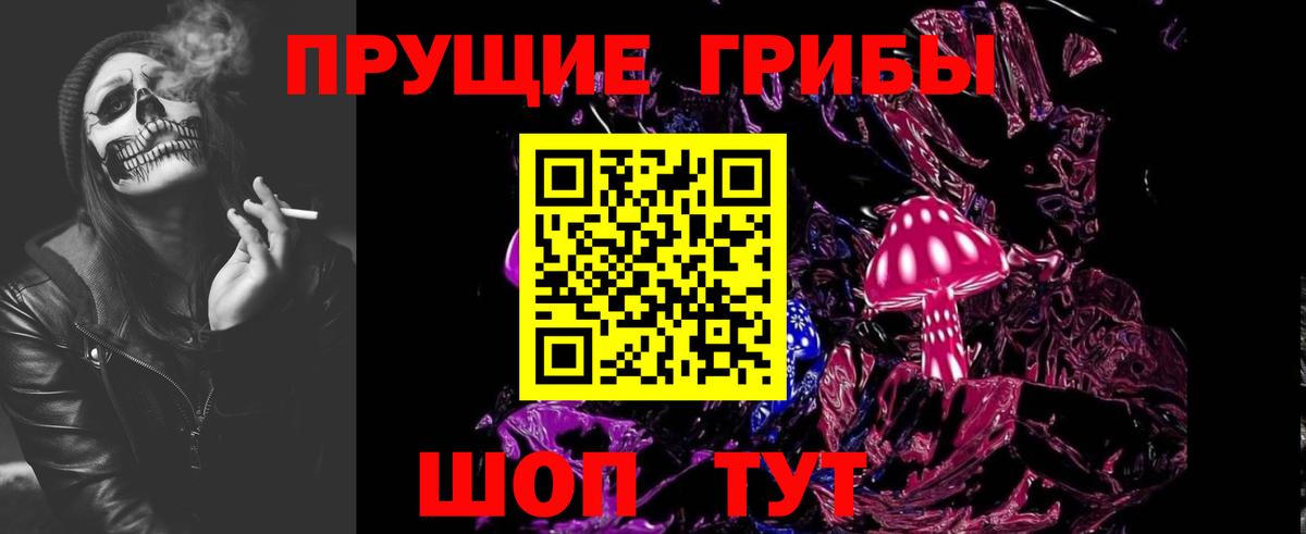 Псилоцибиновые грибы мицелий Курчатов