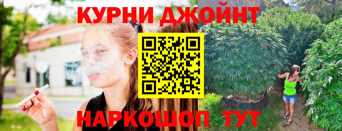 Марихуана AK-47  Каннабис тримм  Курчатов  Вход с VPN  Бошки марихуана Amnesia 
